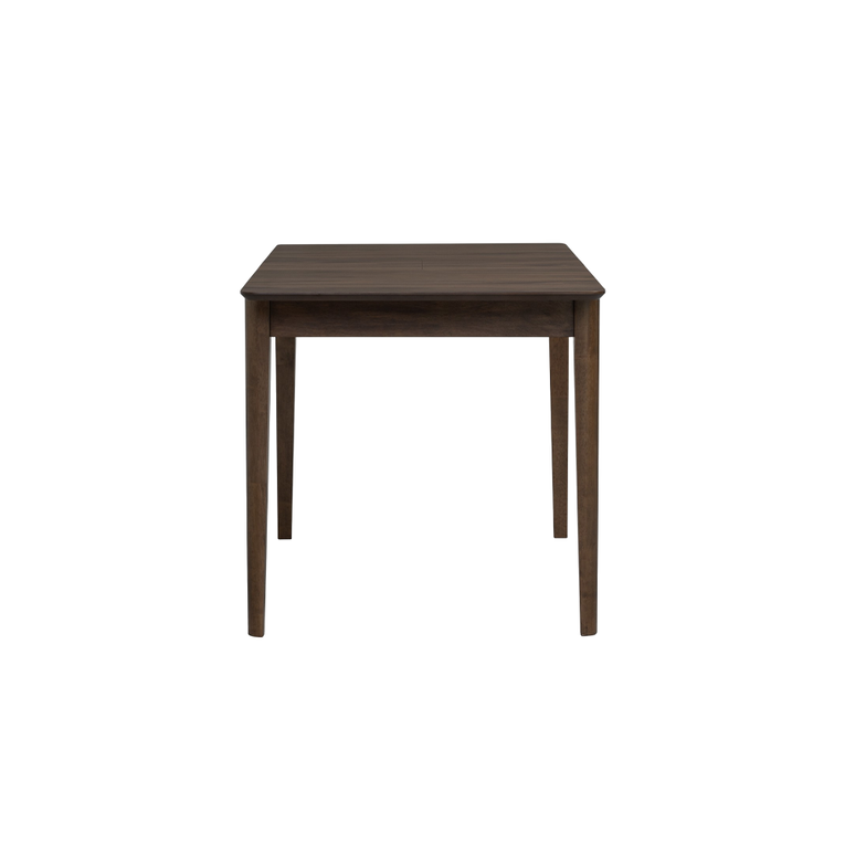Roger Extendable Dining Table