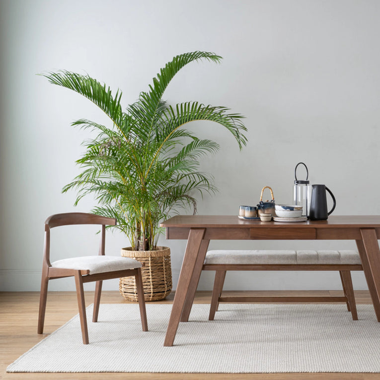 Roger Dining Chair