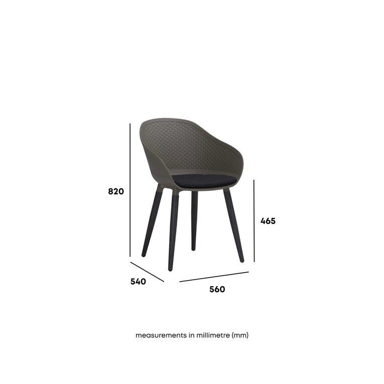 Nexus Dining Chair